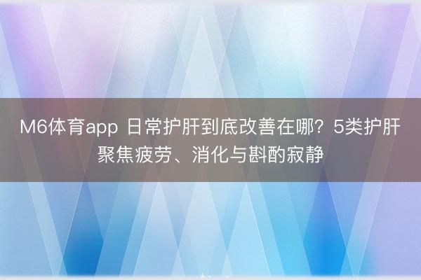 M6体育app 日常护肝到底改善在哪？5类护肝聚焦疲劳、消化与斟酌寂静