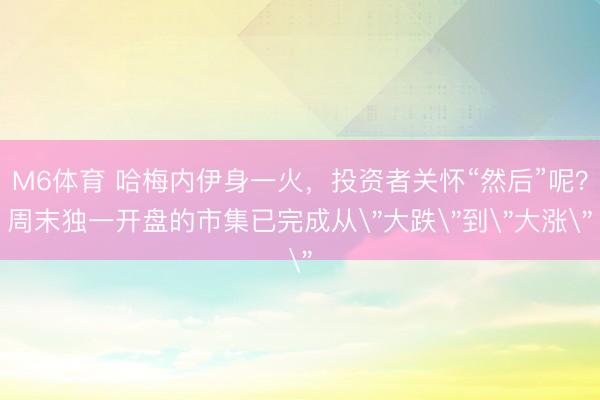 M6体育 哈梅内伊身一火，投资者关怀“然后”呢？周末独一开盘的市集已完成从