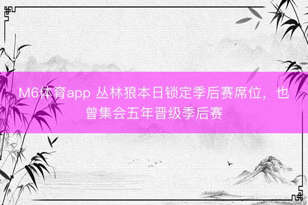 M6体育app 丛林狼本日锁定季后赛席位，也曾集会五年晋级季后赛