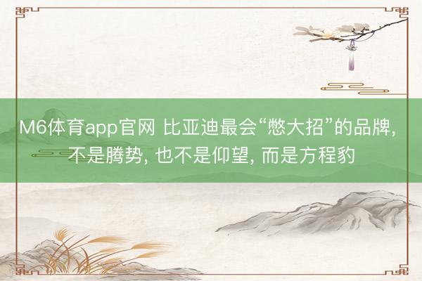 M6体育app官网 比亚迪最会“憋大招”的品牌, 不是腾势, 也不是仰望, 而是方程豹