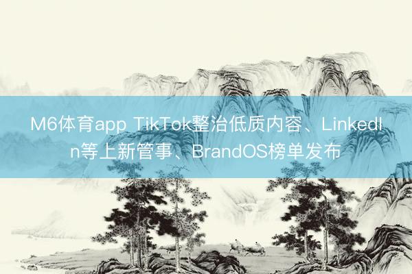 M6体育app TikTok整治低质内容、LinkedIn等上新管事、BrandOS榜单发布